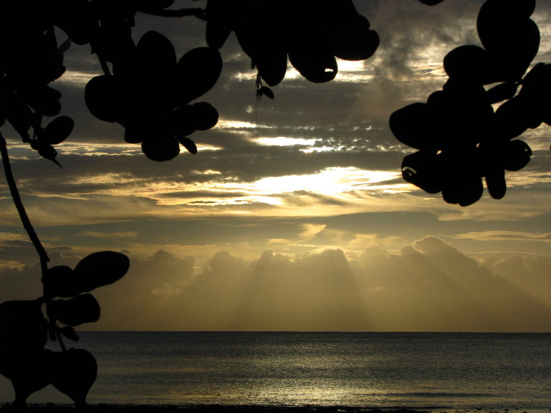 Maravu-Resort-Beverlys-Campground-Beach-Taveuni-Fiji-003