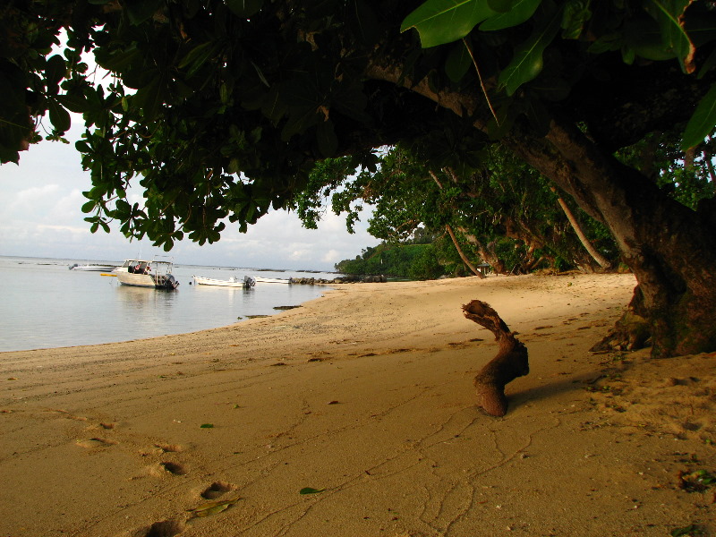 Maravu-Resort-Beverlys-Campground-Beach-Taveuni-Fiji-011