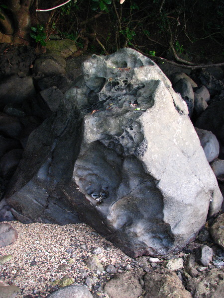 Maravu-Resort-Beverlys-Campground-Beach-Taveuni-Fiji-024