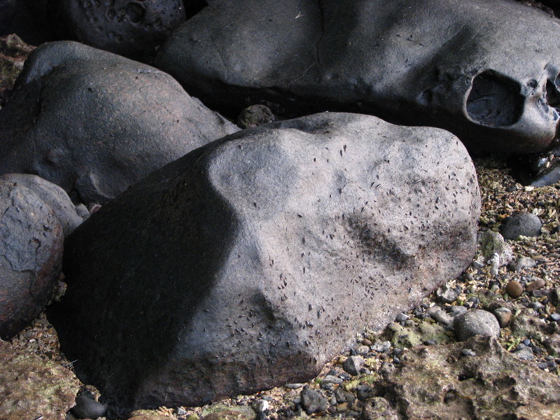 Maravu-Resort-Beverlys-Campground-Beach-Taveuni-Fiji-025