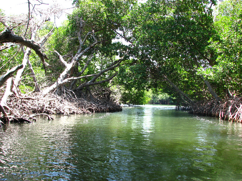 La-Restinga-Lagoon-Isla-Margarita-004