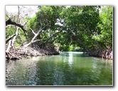 La-Restinga-Lagoon-Isla-Margarita-004