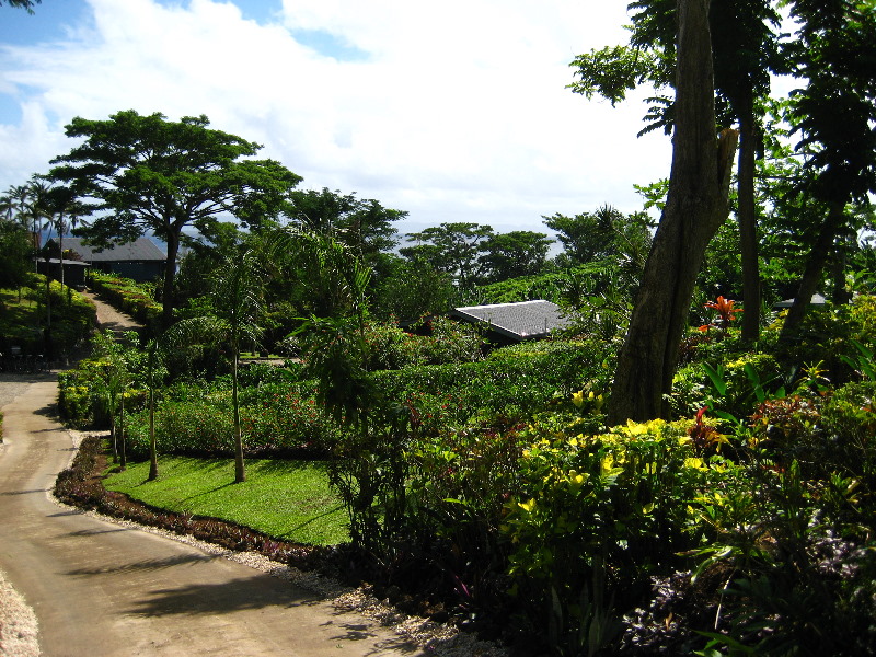 Matei-Town-Taveuni-Island-Fiji-013