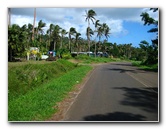 Matei-Town-Taveuni-Island-Fiji-015