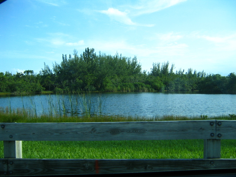 Matheson-Hammock-County-Park-Coral-Gables-Miami-FL-003