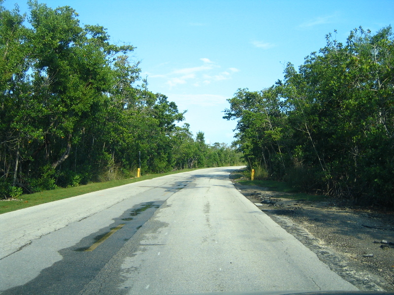 Matheson-Hammock-County-Park-Coral-Gables-Miami-FL-004