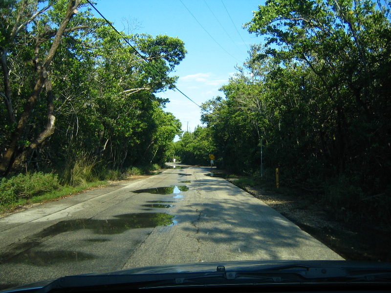 Matheson-Hammock-County-Park-Coral-Gables-Miami-FL-006