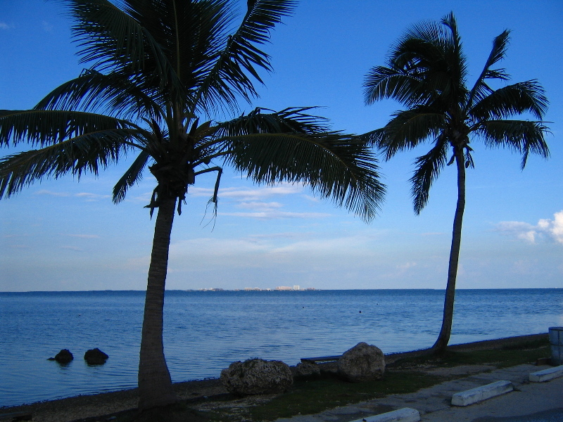 Matheson-Hammock-County-Park-Coral-Gables-Miami-FL-010