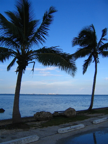 Matheson-Hammock-County-Park-Coral-Gables-Miami-FL-011