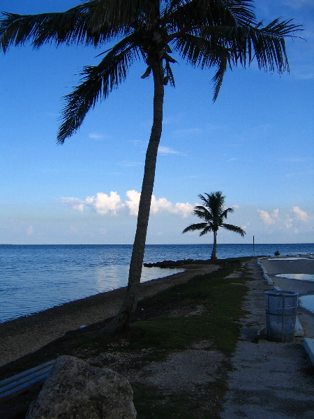 Matheson-Hammock-County-Park-Coral-Gables-Miami-FL-012