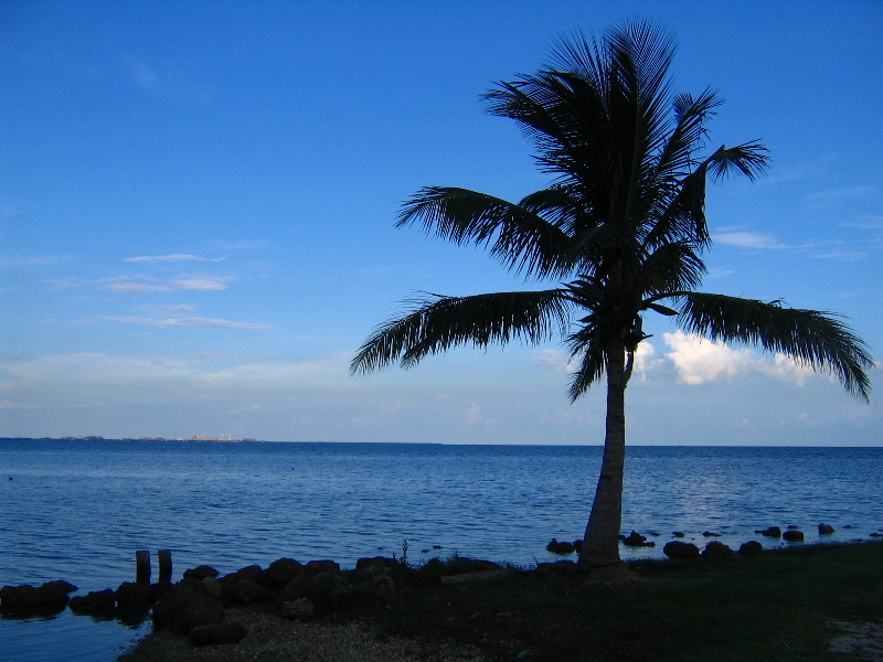 Matheson-Hammock-County-Park-Coral-Gables-Miami-FL-013