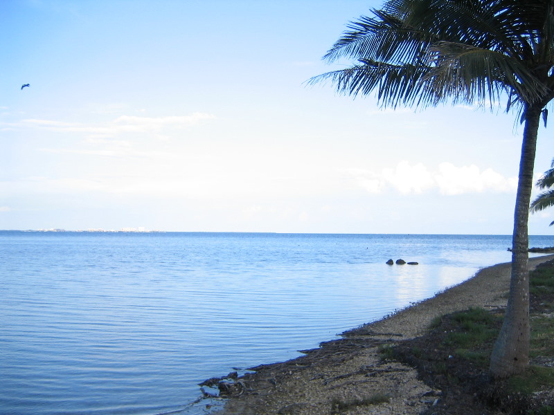 Matheson-Hammock-County-Park-Coral-Gables-Miami-FL-032