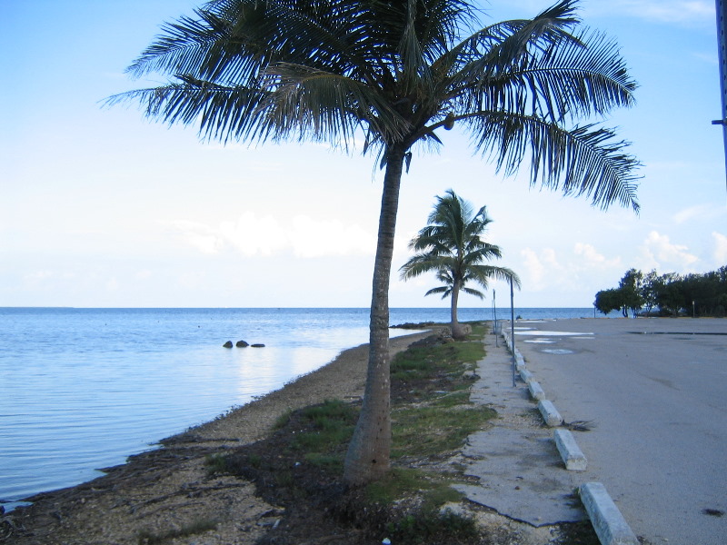 Matheson-Hammock-County-Park-Coral-Gables-Miami-FL-033