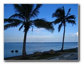 Matheson-Hammock-County-Park-Coral-Gables-Miami-FL-010