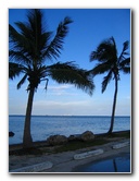 Matheson-Hammock-County-Park-Coral-Gables-Miami-FL-011