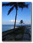 Matheson-Hammock-County-Park-Coral-Gables-Miami-FL-012