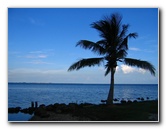 Matheson-Hammock-County-Park-Coral-Gables-Miami-FL-013