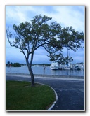 Matheson-Hammock-County-Park-Coral-Gables-Miami-FL-024