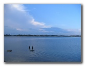 Matheson-Hammock-County-Park-Coral-Gables-Miami-FL-030