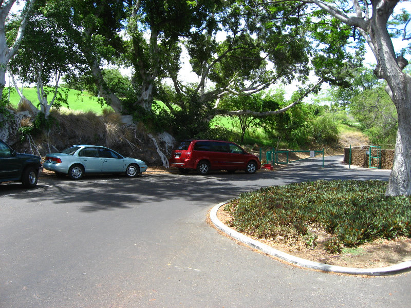 Mauna-Kea-Beach-Snorkeling-Kohala-Coast-Big-Island-Hawaii-007