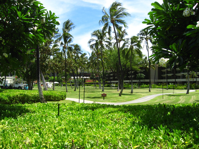 Mauna-Kea-Beach-Snorkeling-Kohala-Coast-Big-Island-Hawaii-012