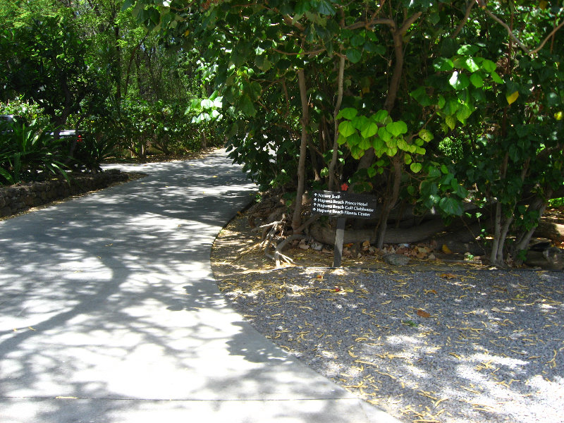 Mauna-Kea-Beach-Snorkeling-Kohala-Coast-Big-Island-Hawaii-013