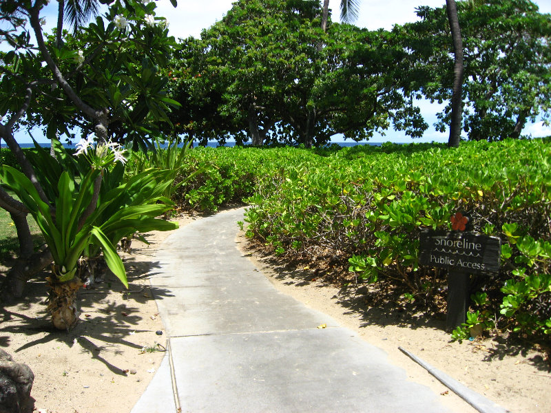 Mauna-Kea-Beach-Snorkeling-Kohala-Coast-Big-Island-Hawaii-014