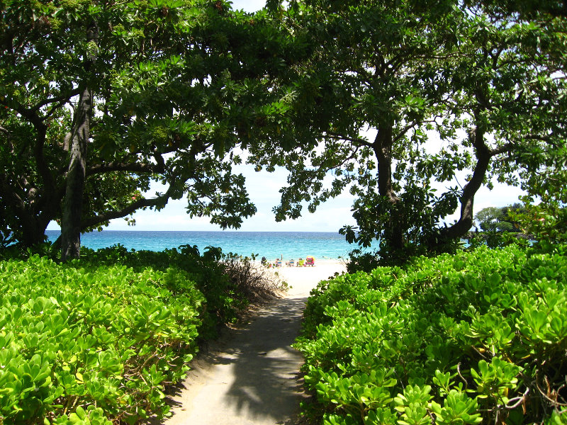 Mauna-Kea-Beach-Snorkeling-Kohala-Coast-Big-Island-Hawaii-015