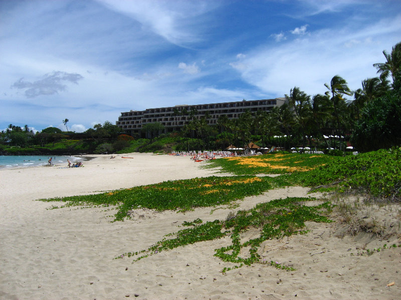 Mauna-Kea-Beach-Snorkeling-Kohala-Coast-Big-Island-Hawaii-018