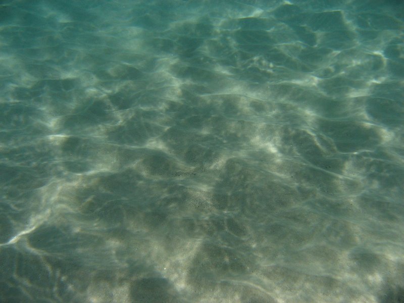 Mauna-Kea-Beach-Snorkeling-Kohala-Coast-Big-Island-Hawaii-091