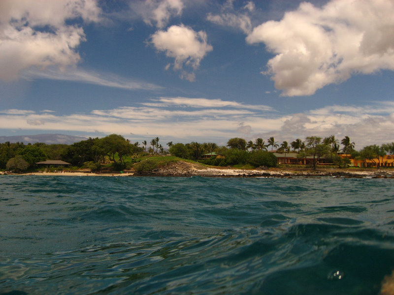 Mauna-Kea-Beach-Snorkeling-Kohala-Coast-Big-Island-Hawaii-103
