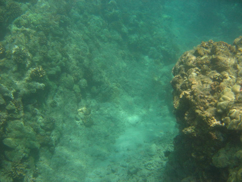 Mauna-Kea-Beach-Snorkeling-Kohala-Coast-Big-Island-Hawaii-106