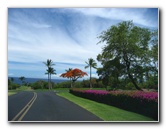 Mauna-Kea-Beach-Snorkeling-Kohala-Coast-Big-Island-Hawaii-004