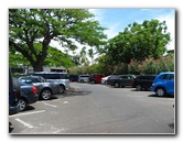 Mauna-Kea-Beach-Snorkeling-Kohala-Coast-Big-Island-Hawaii-006