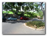 Mauna-Kea-Beach-Snorkeling-Kohala-Coast-Big-Island-Hawaii-007