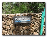 Mauna-Kea-Beach-Snorkeling-Kohala-Coast-Big-Island-Hawaii-009