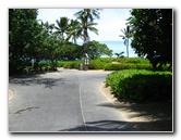 Mauna-Kea-Beach-Snorkeling-Kohala-Coast-Big-Island-Hawaii-011