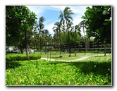 Mauna-Kea-Beach-Snorkeling-Kohala-Coast-Big-Island-Hawaii-012