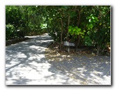 Mauna-Kea-Beach-Snorkeling-Kohala-Coast-Big-Island-Hawaii-013