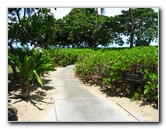 Mauna-Kea-Beach-Snorkeling-Kohala-Coast-Big-Island-Hawaii-014