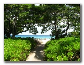 Mauna-Kea-Beach-Snorkeling-Kohala-Coast-Big-Island-Hawaii-015