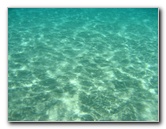 Mauna-Kea-Beach-Snorkeling-Kohala-Coast-Big-Island-Hawaii-024