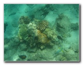 Mauna-Kea-Beach-Snorkeling-Kohala-Coast-Big-Island-Hawaii-037