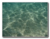 Mauna-Kea-Beach-Snorkeling-Kohala-Coast-Big-Island-Hawaii-091