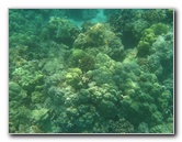 Mauna-Kea-Beach-Snorkeling-Kohala-Coast-Big-Island-Hawaii-092