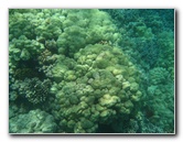 Mauna-Kea-Beach-Snorkeling-Kohala-Coast-Big-Island-Hawaii-093
