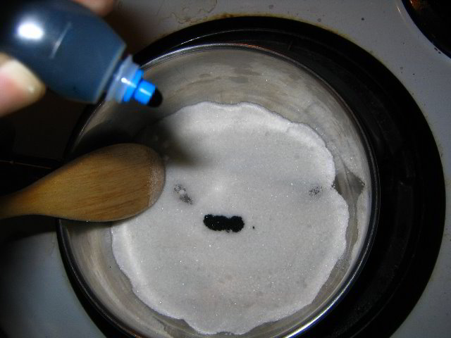 Melting-Sugar-Food-Art-Experiment-002