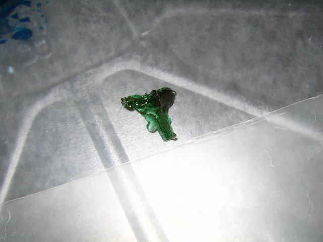 Melting-Sugar-Food-Art-Experiment-012