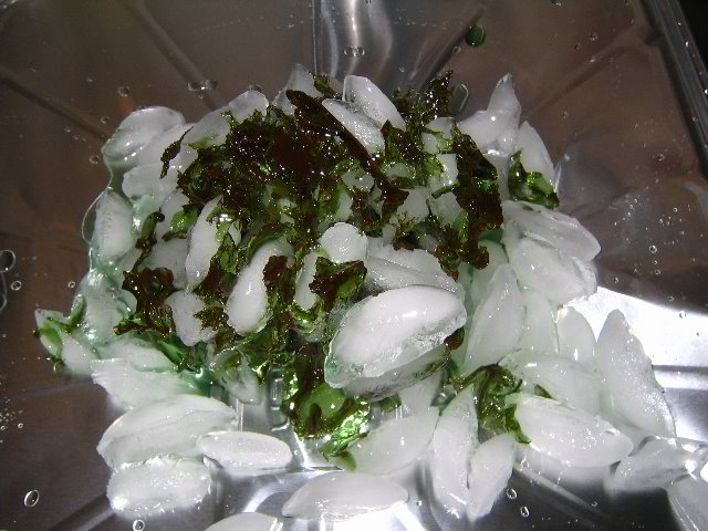 Melting-Sugar-Food-Art-Experiment-016