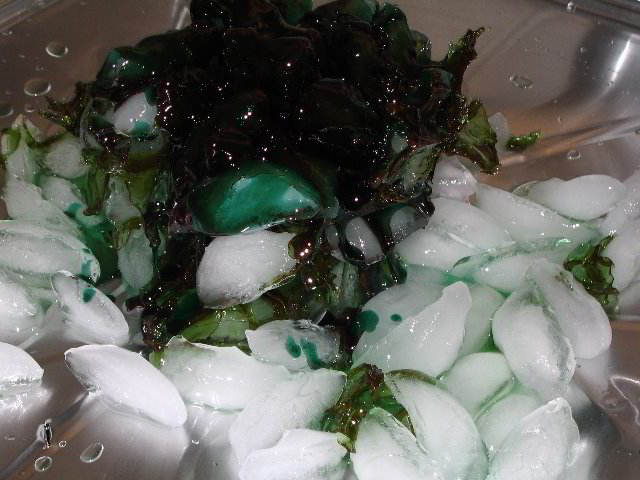 Melting-Sugar-Food-Art-Experiment-018